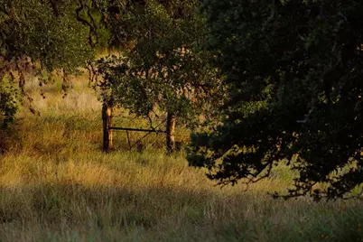 3067 Ranch Road 1888, Blanco, TX 78606 - Photo 5