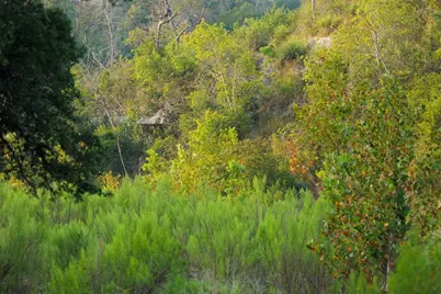 3067 Ranch Road 1888, Blanco, TX 78606 - Photo 7