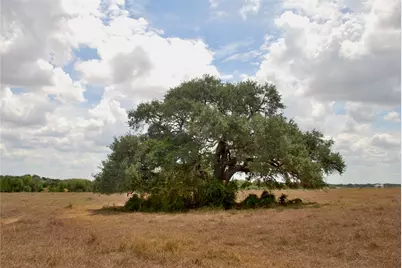 Tract 2 County Road 366, Shiner, TX 77984 - Photo 7