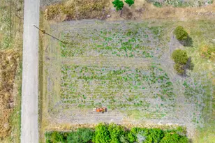 00000 Fm-973 Rd, Coupland, TX 78615 - Photo 5