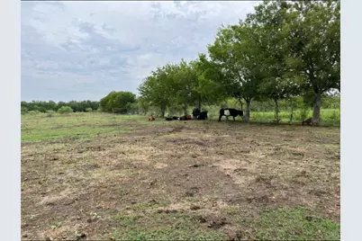 1976 Old Kelley Road, Lockhart, TX 78644 - Photo 7