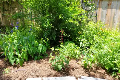 504 Tyree Road, Cedar Park, TX 78613 - Photo 35