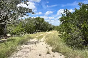 2452 Stone Crk Ranch Dr, Evant, TX 76525 - Photo 3