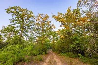 Tbd S Hwy 77, Rockdale, TX 76567 - Photo 19