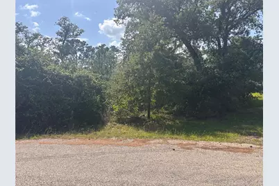 Lot 1541 Pahoiki Lane, Bastrop, TX 78602 - Photo 5
