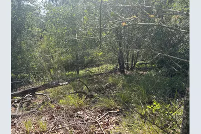 Lot 1541 Pahoiki Lane, Bastrop, TX 78602 - Photo 1