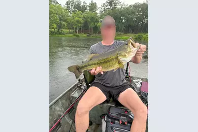 1386 Private Rd 1313, Centerville, TX 75833 - Photo 33