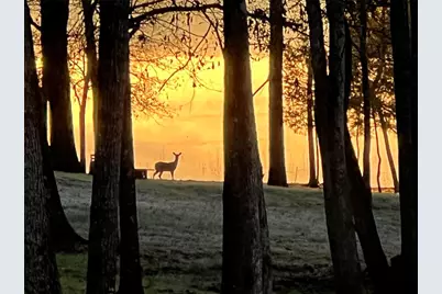 1386 Private Rd 1313, Centerville, TX 75833 - Photo 19