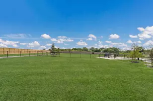 1173 Celosia Loop, Kyle, TX 78640 - Photo 21