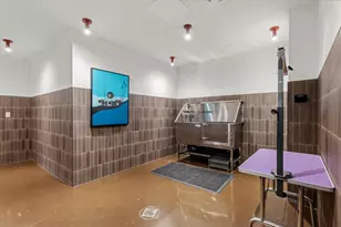 4315 S Congress Ave, Austin, TX 78745 - Photo 17
