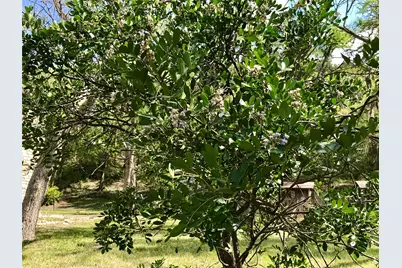 1113 Hidden Valley Road, Wimberley, TX 78676 - Photo 11