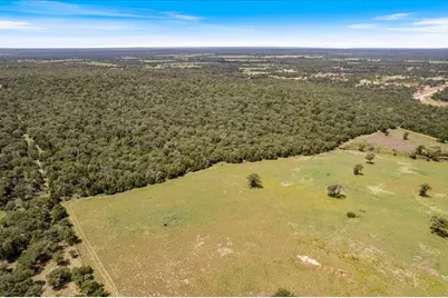 000 Hidden Oaks Lane, Elgin, TX 78621 - Photo 5