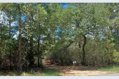 172 Pine Canyon Drive, Smithville, TX 78957 - Photo 3