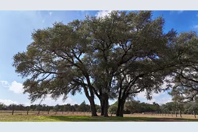 415 County Road 457 Road, Hallettsville, TX 77964 - Photo 3