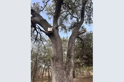 13203 Private Road 3642, Lampasas, TX 76550 - Photo 7