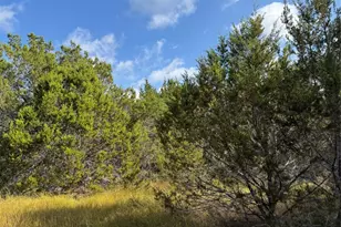 Tbd Cr 304 Rd, Bertram, TX 78605 - Photo 1