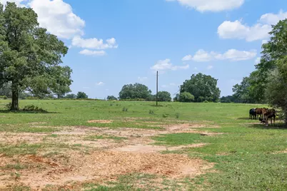 1371 Private Road 2051, Giddings, TX 78942 - Photo 17