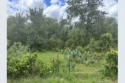 Tbd Cr 472, Thrall, TX 76578 - Photo 1
