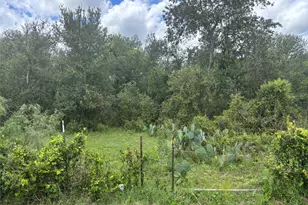 Tbd Cr 472, Thrall, TX 76578 - Photo 1