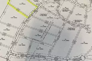 Lot 185 Three Creeks Dr, Bertram, TX 78605 - Photo 23