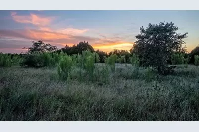 Lot 185 Three Creeks Drive, Bertram, TX 78605 - Photo 3