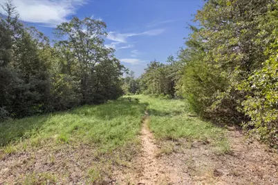 Lot 29 Walleye Creek Trail, Lexington, TX 78947 - Photo 15