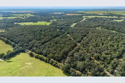 Lot 29 Walleye Creek Trail, Lexington, TX 78947 - Photo 3