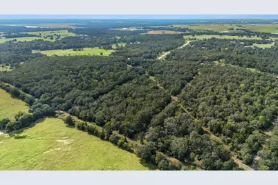 Lot 29 Walleye Creek Trail, Lexington, TX 78947 - Photo 3