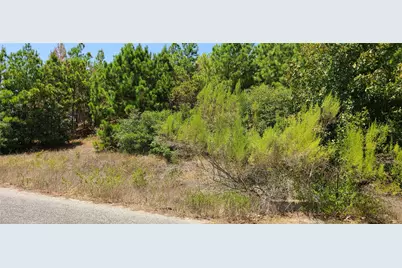 Tbd Tall Forest Drive, Bastrop, TX 78602 - Photo 5