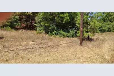 Tbd Tall Forest Drive, Bastrop, TX 78602 - Photo 3