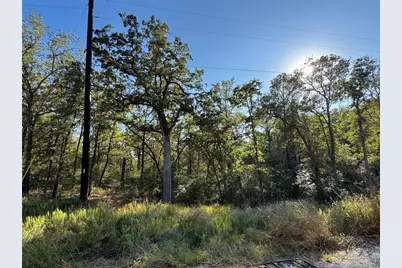 0000 Wailupe Circle, Bastrop, TX 78602 - Photo 1