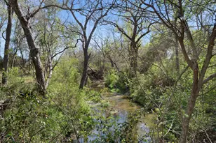 11900 Fm 1660, Hutto, TX 78634 - Photo 33