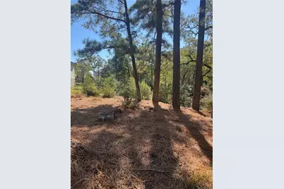 Lot 97 Kaelepulu Drive, Bastrop, TX 78602 - Photo 3