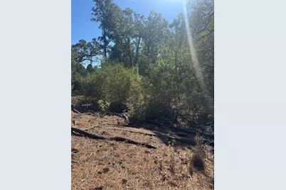 Lot 97 Kaelepulu Drive, Bastrop, TX 78602 - Photo 5