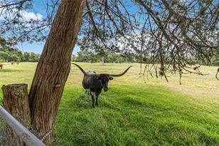 730 Sarah Jo St, La Grange, TX 78945 - Photo 31