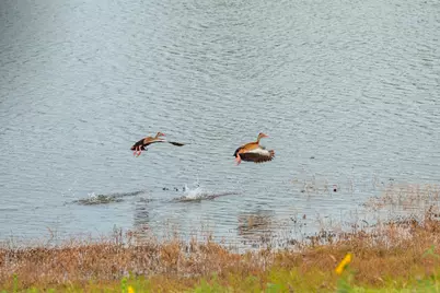 2055 County Road 284, Liberty Hill, TX 78642 - Photo 35