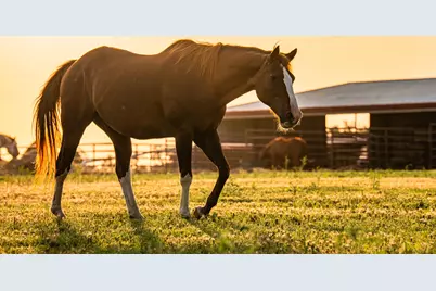 2055 County Road 284, Liberty Hill, TX 78642 - Photo 5