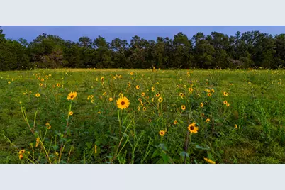 2055 County Road 284, Liberty Hill, TX 78642 - Photo 7