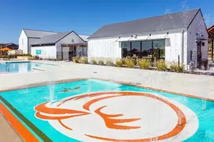 157 Fire Wheel Pass, Liberty Hill, TX 78642 - Photo 27