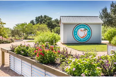 157 Fire Wheel Pass, Liberty Hill, TX 78642 - Photo 25