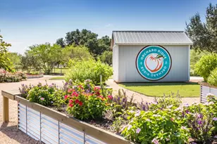 157 Fire Wheel Pass, Liberty Hill, TX 78642 - Photo 25