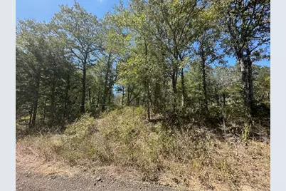 [Address not provided], Bastrop, TX 78602 - Photo 3