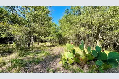 750 County Rd 206A (15.5 Acres), Cameron, TX 76520 - Photo 21
