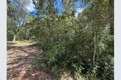 103 Nuupia Court, Bastrop, TX 78602 - Photo 7