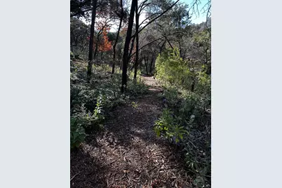 1626 Westlake Drive, West Lake Hills, TX 78746 - Photo 1