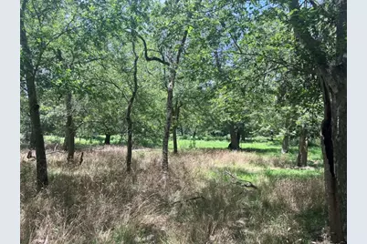 344 & 343 Bateman Road, Red Rock, TX 78662 - Photo 17
