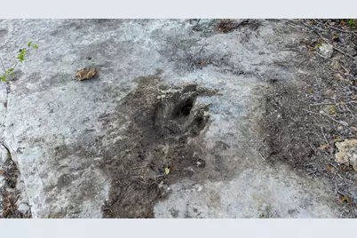 6234 S Fm 1174, Bertram, TX 78605 - Photo 7