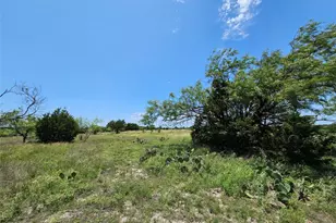 Lot 111 Shin Oak Dr, Lampasas, TX 76550 - Photo 5