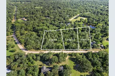 Tract 2 Berry Ridge S, Caldwell, TX 77836 - Photo 3