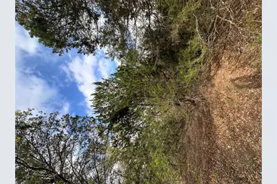 547 S. Old Potato Drive, Paige, TX 78602 - Photo 5